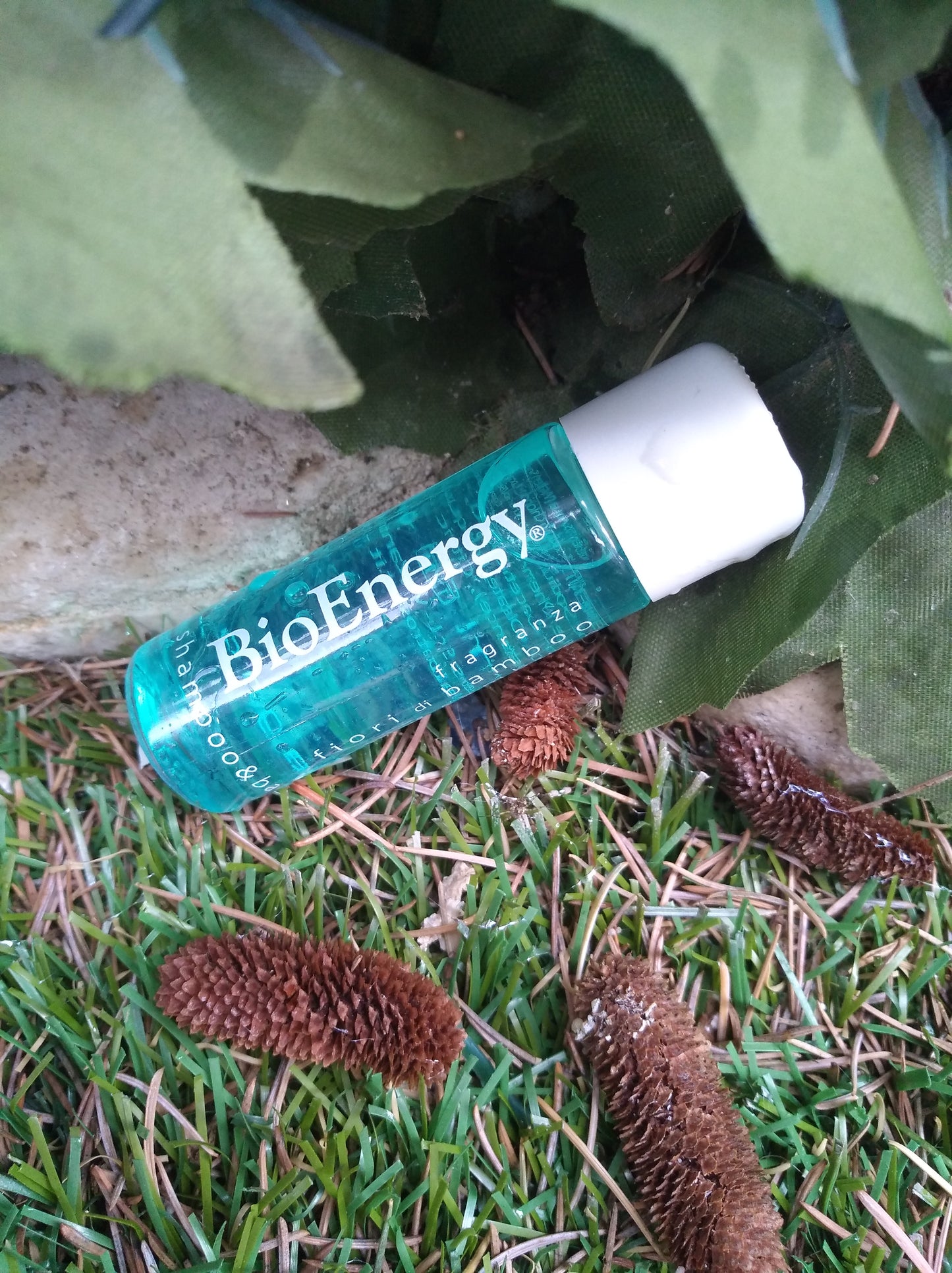 Bagnoschiuma Shampoo Flacone 20ml Fiori Bamboo Linea Cortesia Albatros BioEnergy 384 Pezzi