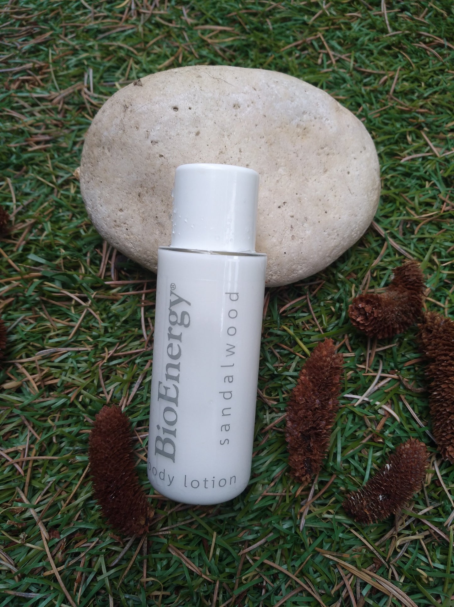 Crema Corpo Flacone 30ml Sandalwood Linea Cortesia Albatros BioEnergy 298 Pezzi