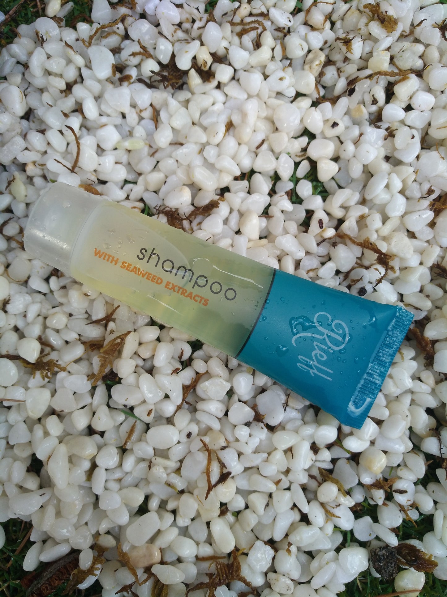 Shampoo Tubetto 30ml Linea Cortesia Albatros Rieff 400 Pezzi